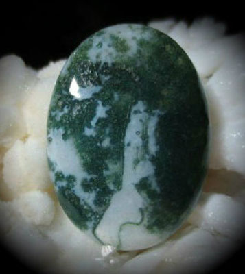 Tree Agate